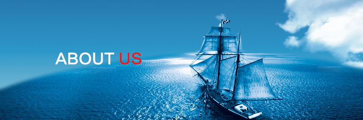 �Ƿ�����(�й���)-�ٷ���վ